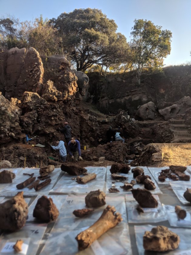 Fossils being sorted at Drimolen cave, north of Johannesburg in South Africa