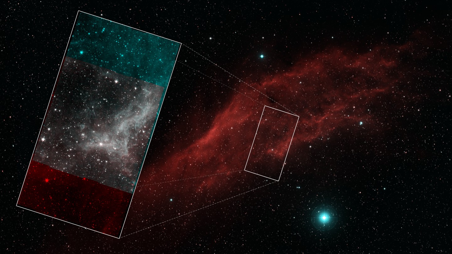 The context of the final Spitzer mosaic, showing which part of the California Nebula it was imaging
