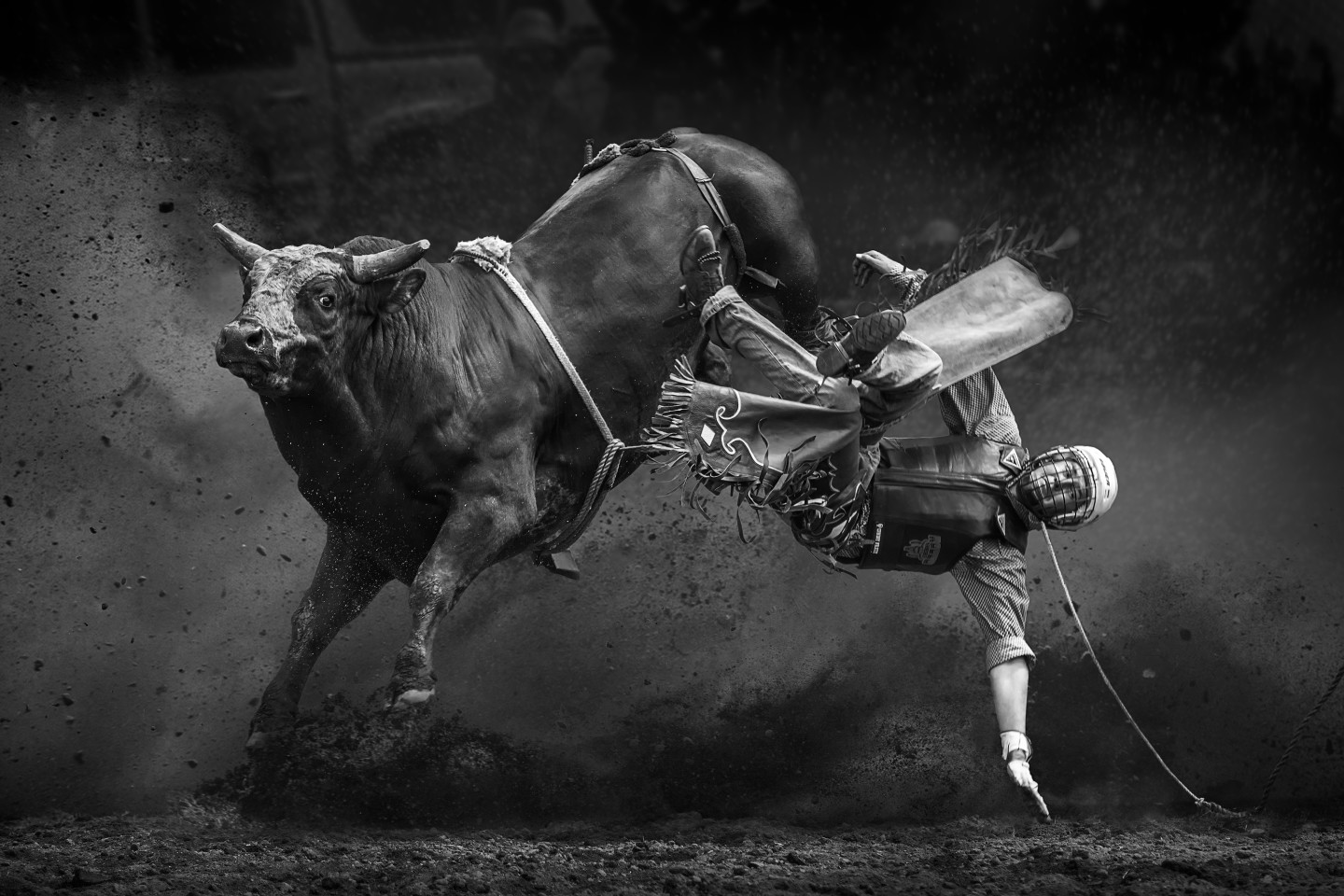Honorable Mention - Break Away. A man falling off a bull in a rodeo event held in Taralga Australia