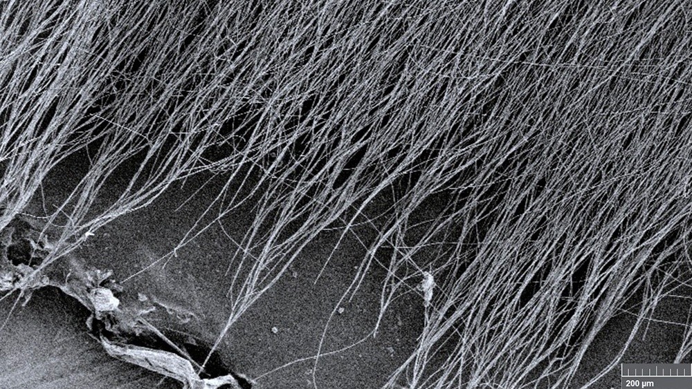 A microscope image of the nanofibers used in the antioxidant mat
