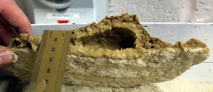 A sample of the frozen mud, formed under conditions similar to those at the surface of Mars