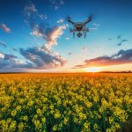 Read more about the article How to manage your unstructured drone-collected data