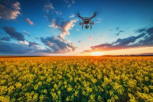 How to manage your unstructured drone-collected data