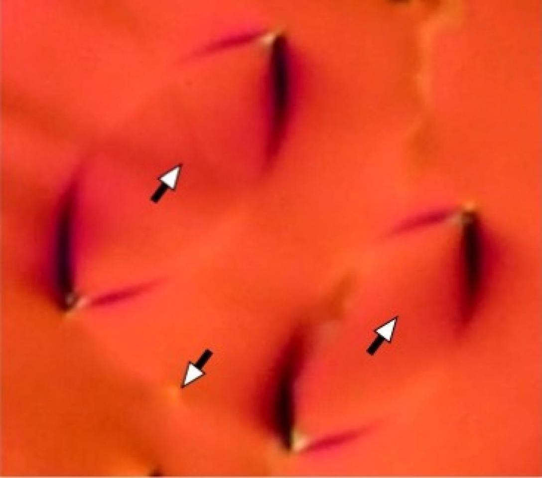 A newly discovered phase of liquid crystal features unique patches of molecules that almost all face the same way, seen here in the diamond shape