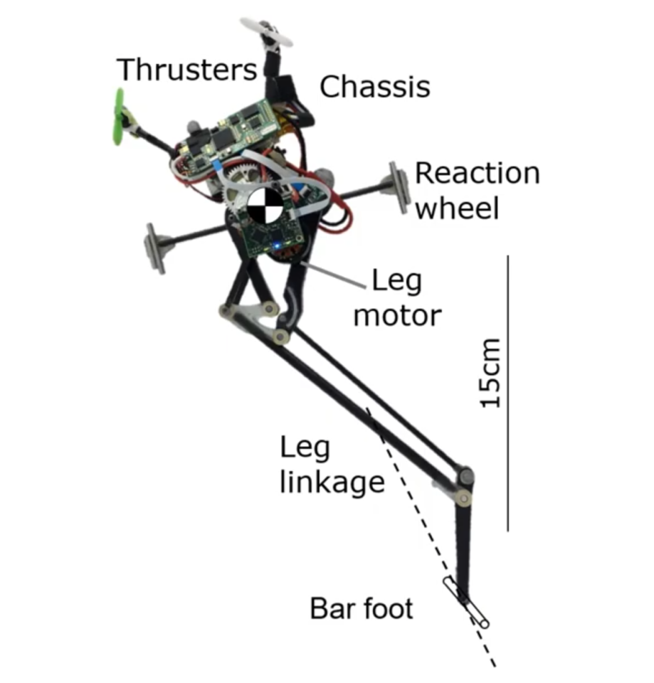 Salto's structure includes a single leg, with a bar foot, a reaction wheel and a pair of small fan thrusters for balance and stability