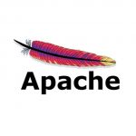 Read more about the article How to speed up Apache web loads with mod_pagespeed