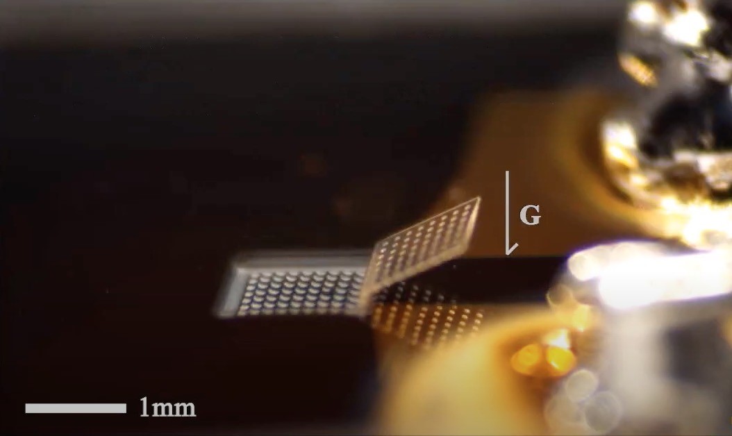 An example of the new folding microbots developed at the University of Michigan