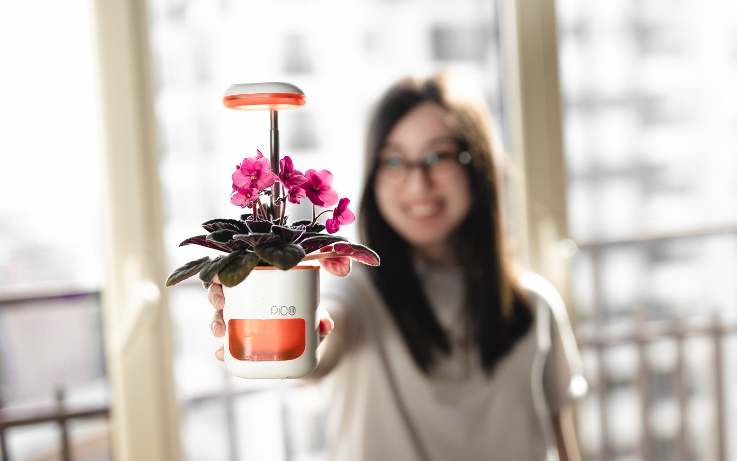 Pico is available in four color choices