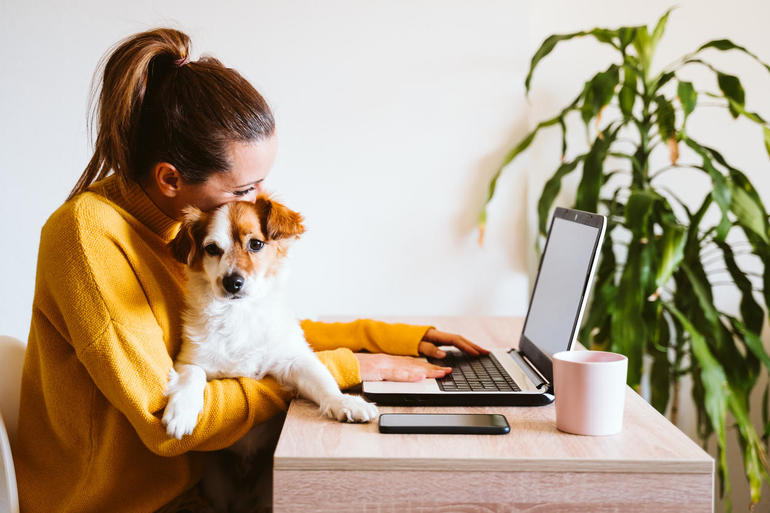 The 20 most popular work-from-home jobs and what they pay