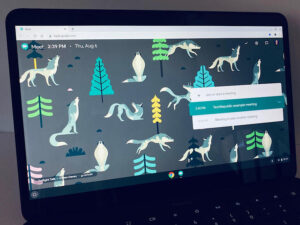 7 tips for using Google Meet on a Chromebook