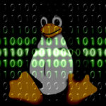 Read more about the article How to flush the DNS cache on Linux