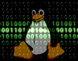 How to flush the DNS cache on Linux