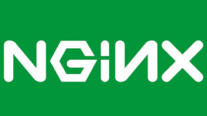 How to limit file upload size on NGINX to mitigate DoS attacks