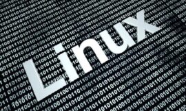 Linux vs. Windows: It’s a matter of perspective