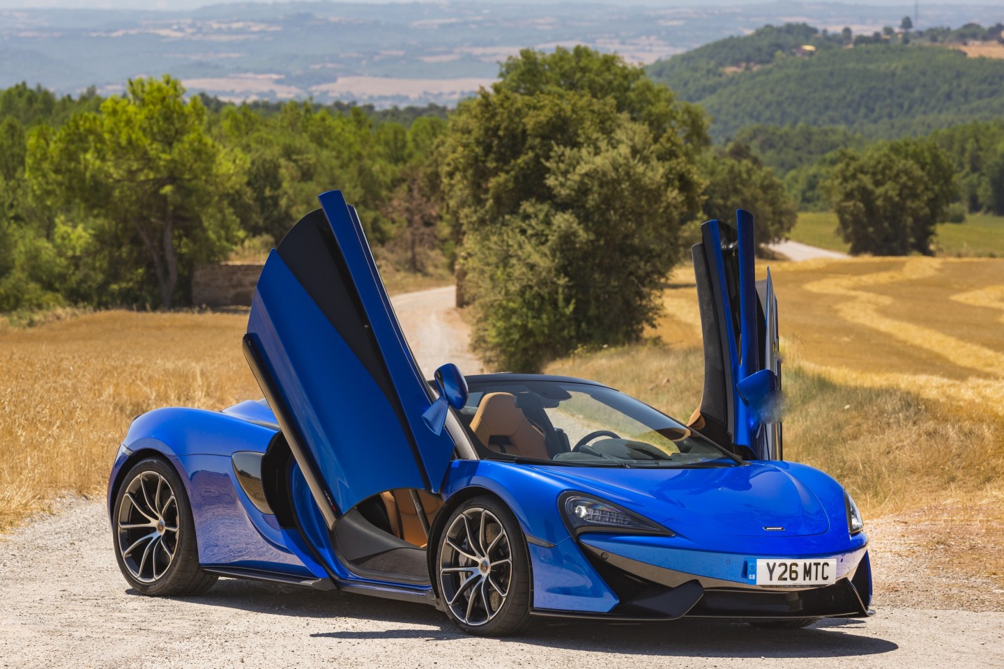 A signature feature of most supercars, but especially the McLaren, are these butterfly wing doors