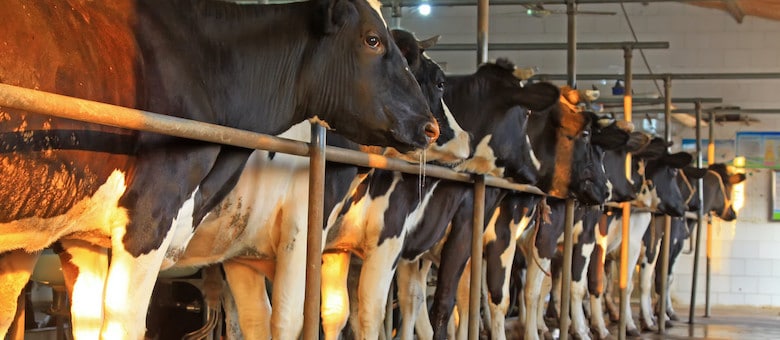 Luannan Agri And Biogas Projects Press Ahead With Landia Digester Mixing Systems In China