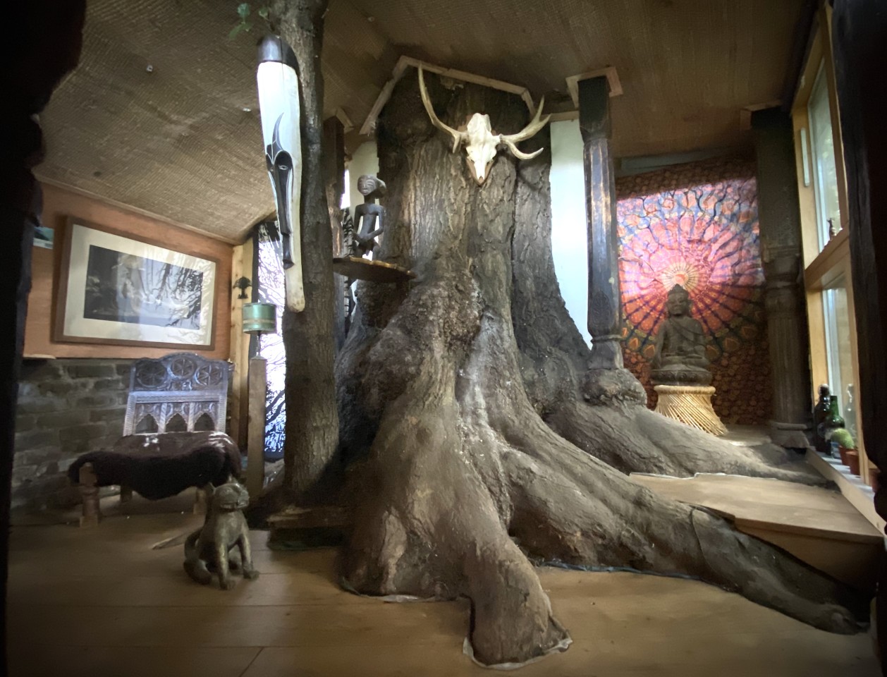 The Bedouin Tree Shed is built around the trunks of an Ash and an Evergreen Oak