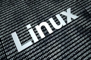 Why Linux still needs a flagship distribution