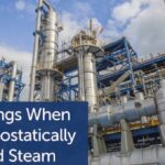Read more about the article Annual Savings When Using Thermostatically Controlled Steam Tracing Systems