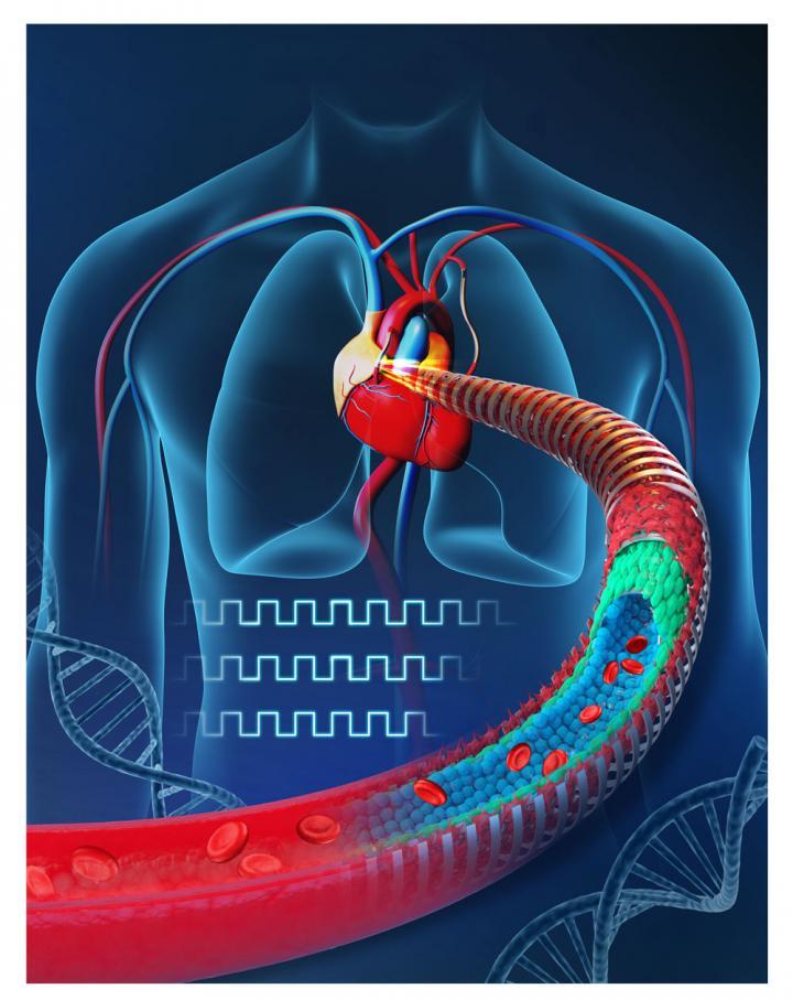 An artist's impression of an electronic blood vessel incorporated into the human body