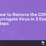 Read more about the article How to Remove the COM Surrogate Virus in 3 Easy Steps