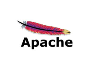 How to use the Apache web server to install and configure a website