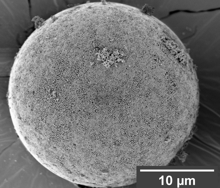 The liquid nanofoam under a microscope, as pressurized water fills its pores