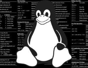 What the growing OEM support means for the future of Linux