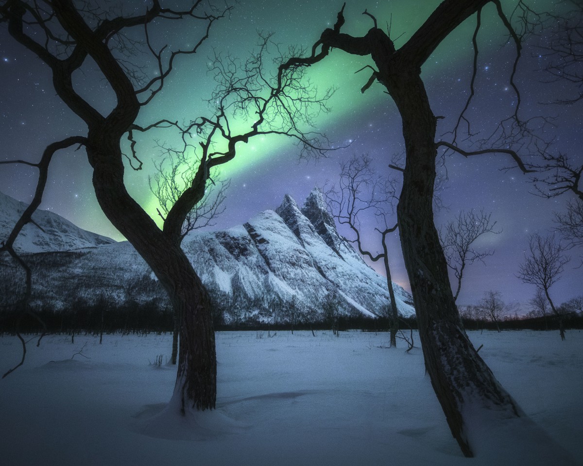 Winner, Landscape Photographer of the Year. 'Magical Night', Norway, Tromsø