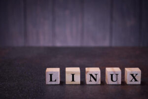 Linux desktop: The one moment in 2020 that is key to its success