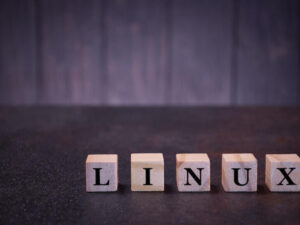 Linux: How to recover deleted files with testdisk