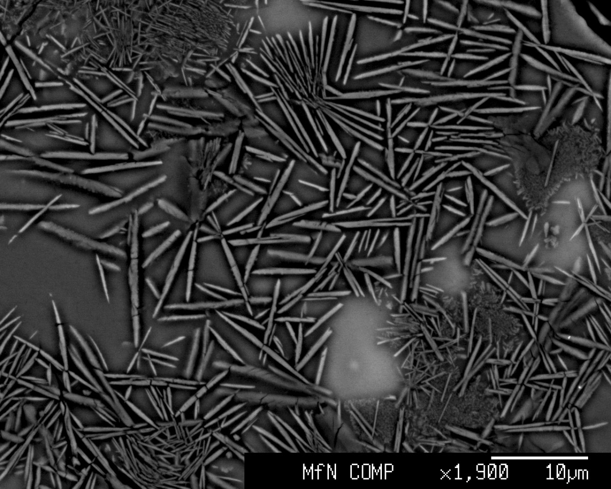 A scanning electron microscope image of the new mineral donwilhelmsite