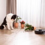 Read more about the article Super cool tech-related holiday gifts for pet lovers