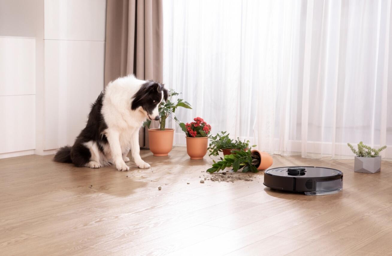 Super cool tech-related holiday gifts for pet lovers