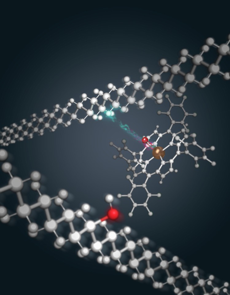 A catalyst based on ruthenium (gold ball, center) adds a specific chemical group, OH (red), to polyethylene polymer chains, creating an oxidized polyethylene