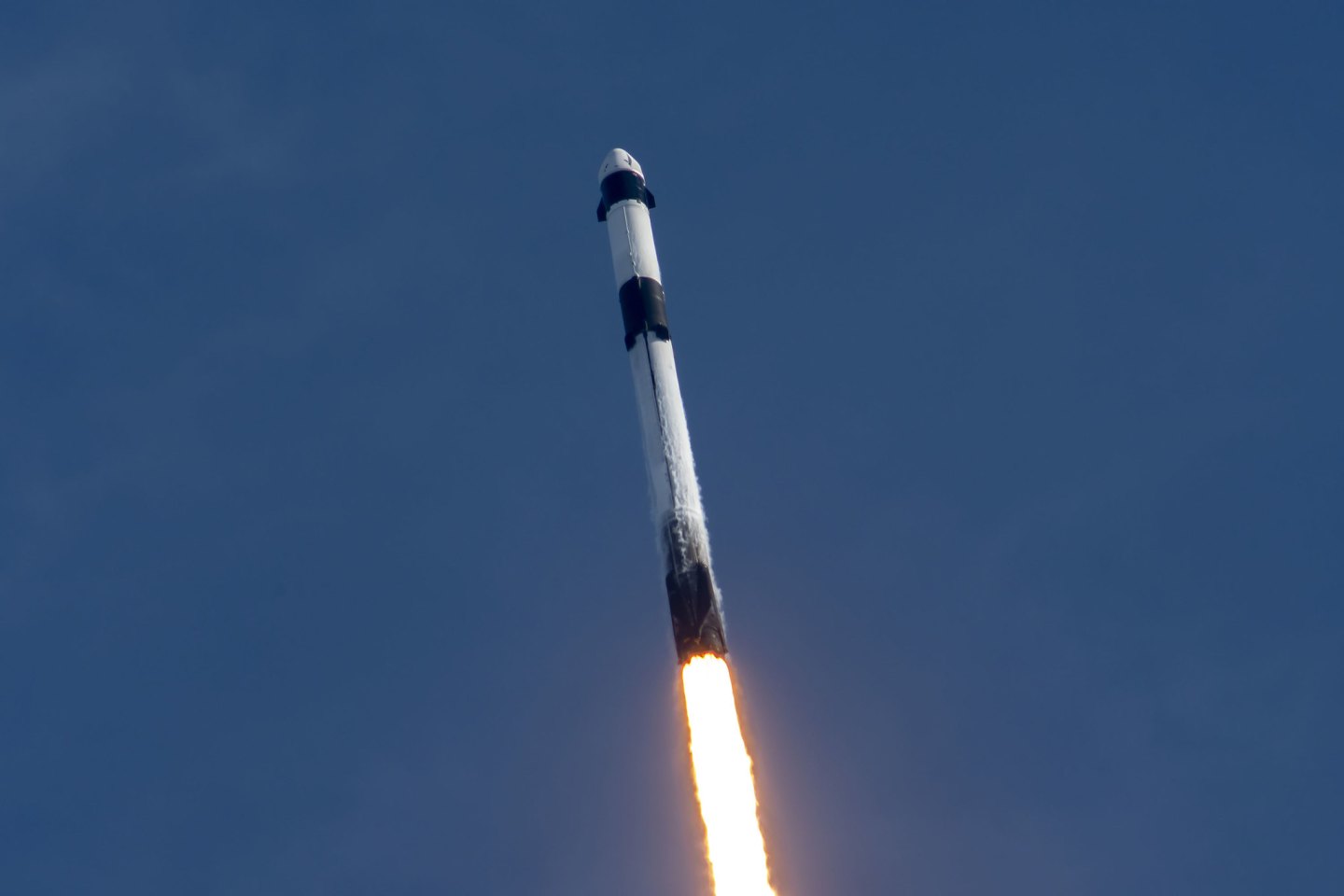 The new and improved Cargo Dragon capsule lifted off from NASA’s Kennedy Space Center on December 2