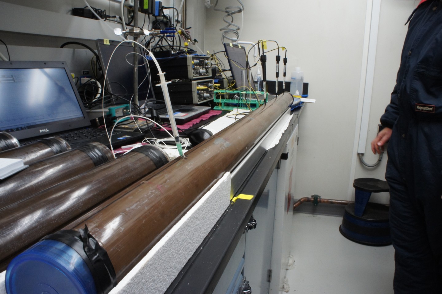The sediment cores taken from the seafloor, which were found to contain living bacteria from 100 million years ago