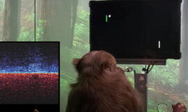 Elon Musk’s Neuralink has this monkey playing pong like an Atari pro