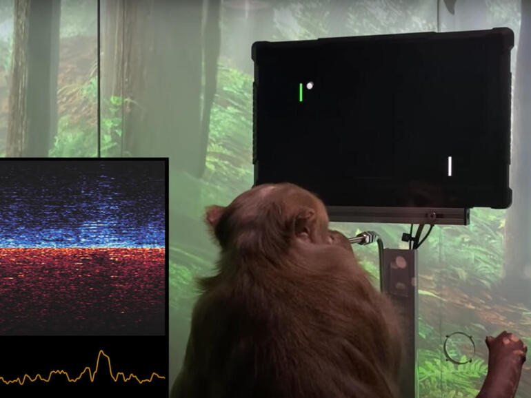 Elon Musk’s Neuralink has this monkey playing pong like an Atari pro