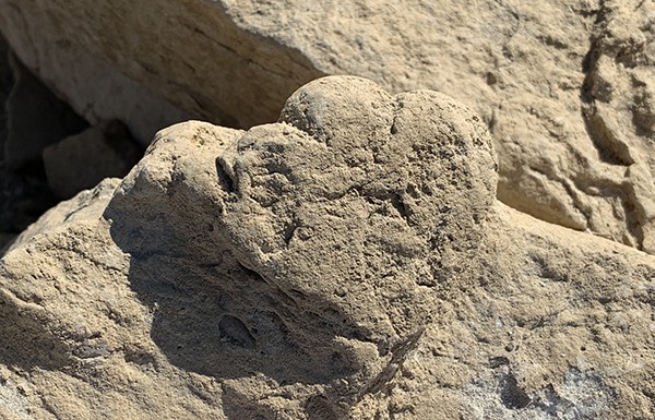 The footprint in question – no others from the baby stegosaur were found at the site