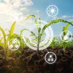 Read more about the article How AI innovation is improving agricultural efficiency