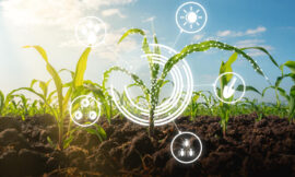 How AI innovation is improving agricultural efficiency