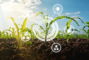 How AI innovation is improving agricultural efficiency