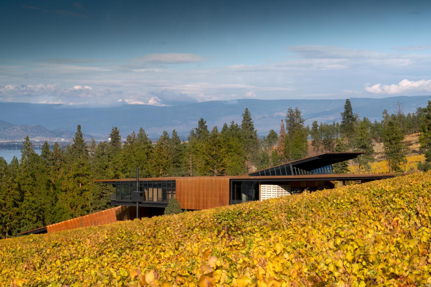 Martin’s Lane Winery was designed by Olson Kundig and is located in British Columbia, Canada