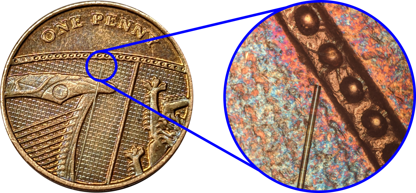 Image shows the newly developed ultrasonic probe alongside a US penny for scale