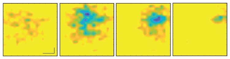 A sequence of images of a beating heart, each separated by 5 milliseconds, with the changing electric field presented as different patterns on the graphene sheet