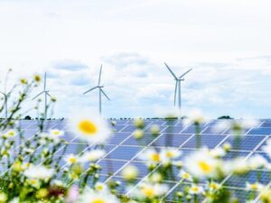 2 types of green energy projects growing in 2021: Wind and solar energy tech can help the planet