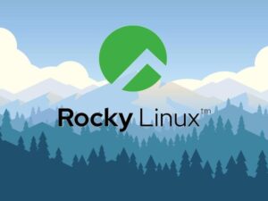 How to use Rocky Linux as a Docker container image