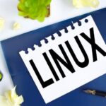 Read more about the article Linux 101: Demystifying the Linux directory structure