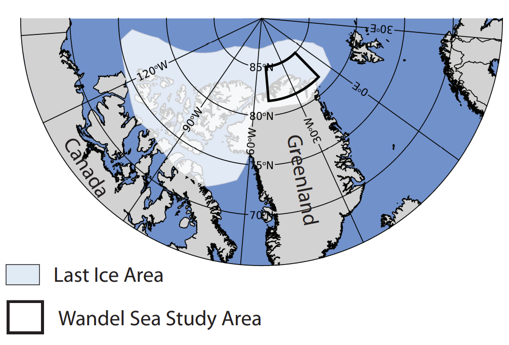 A new study has uncovered record low ice levels in the Wandel Sea, inside what’s known as the “Last Ice Area” of the Arctic Ocean